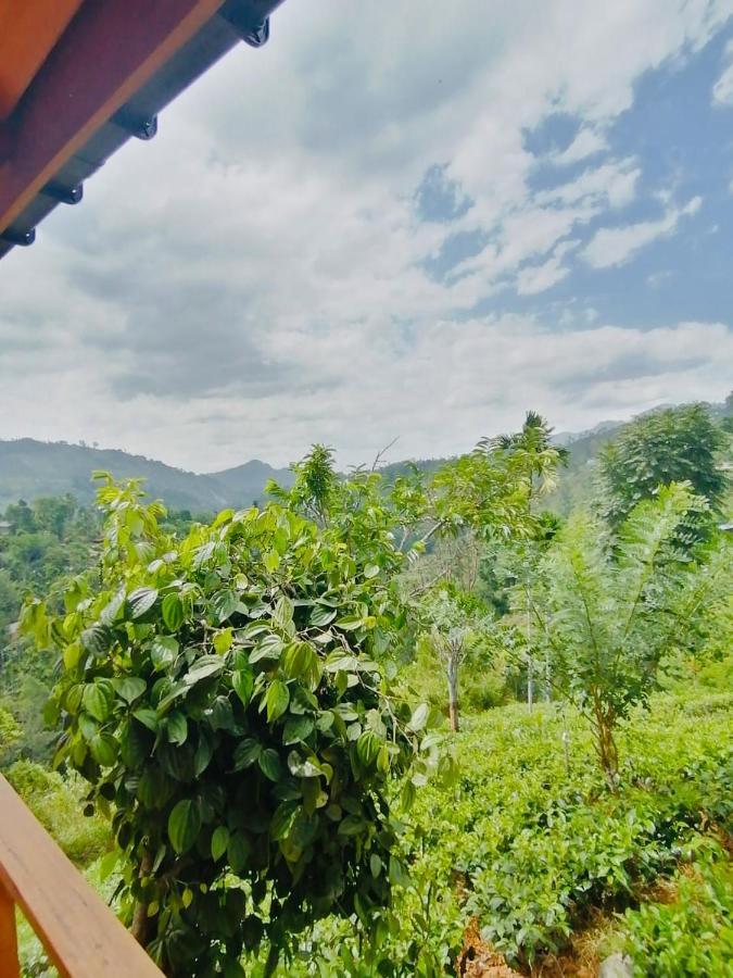 Green Nature Paradise เอลลา ภายนอก รูปภาพ