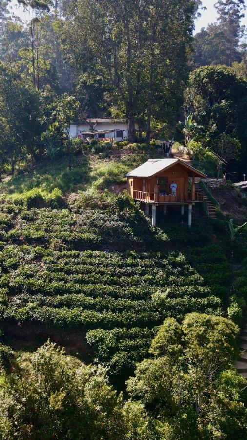 Green Nature Paradise เอลลา ภายนอก รูปภาพ
